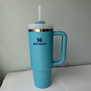 Pool 30oz Stanley Cup